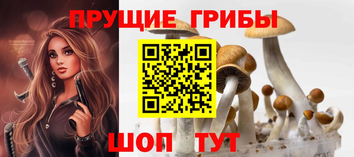 купить закладку  Псилоцибиновые грибы прущие грибы  Вход с VPN  Карталы 